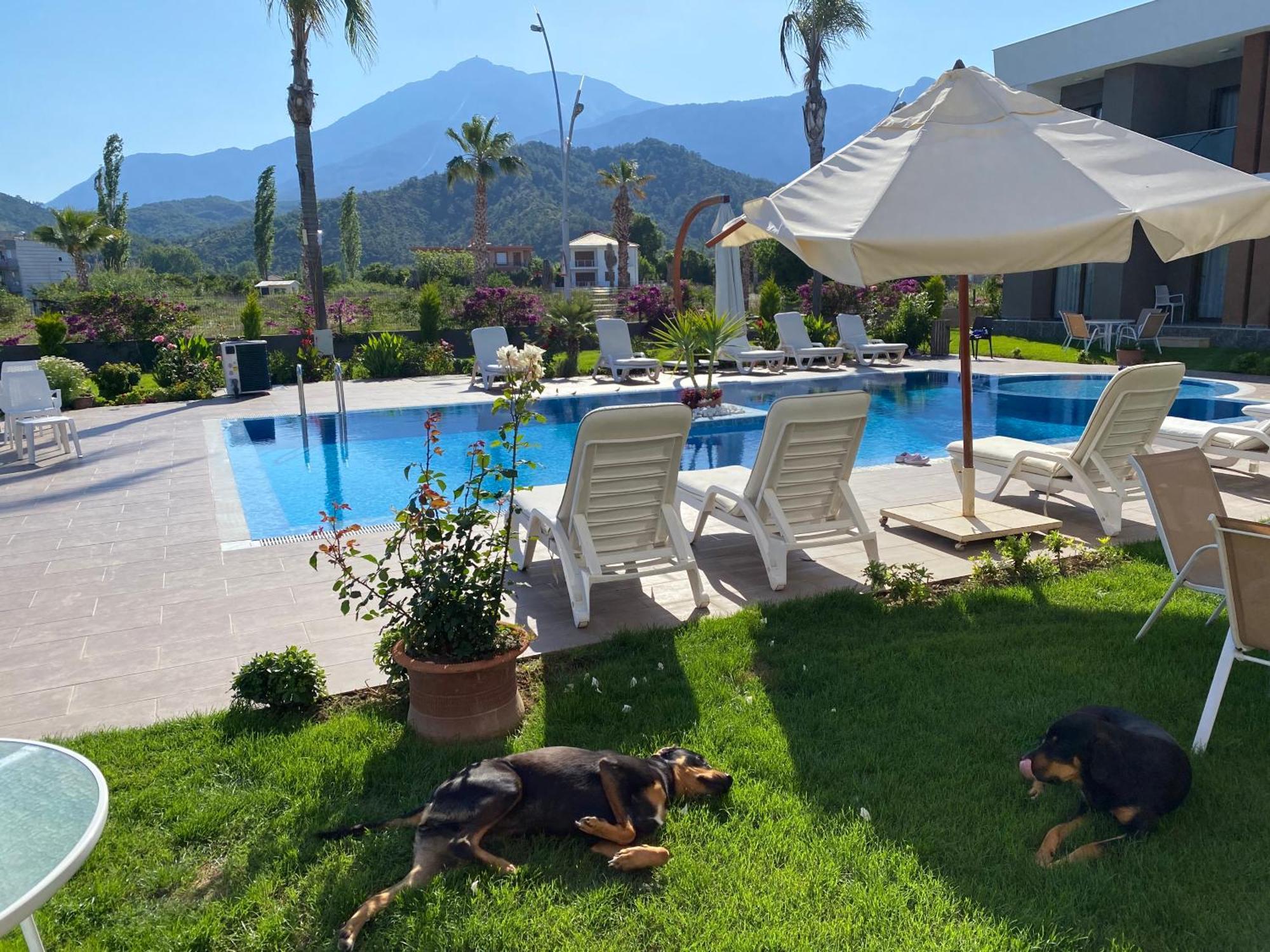 Mandalina Apartments Ağva Buitenkant foto